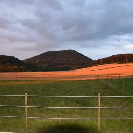 Gospodarstwo wiejskie Sieben-berge-haus
